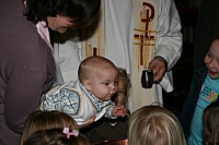 img_2233.jpg img_2233.jpg