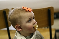 img_2606.jpg img_2606.jpg