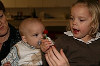 img_2966.jpg img_2966.jpg